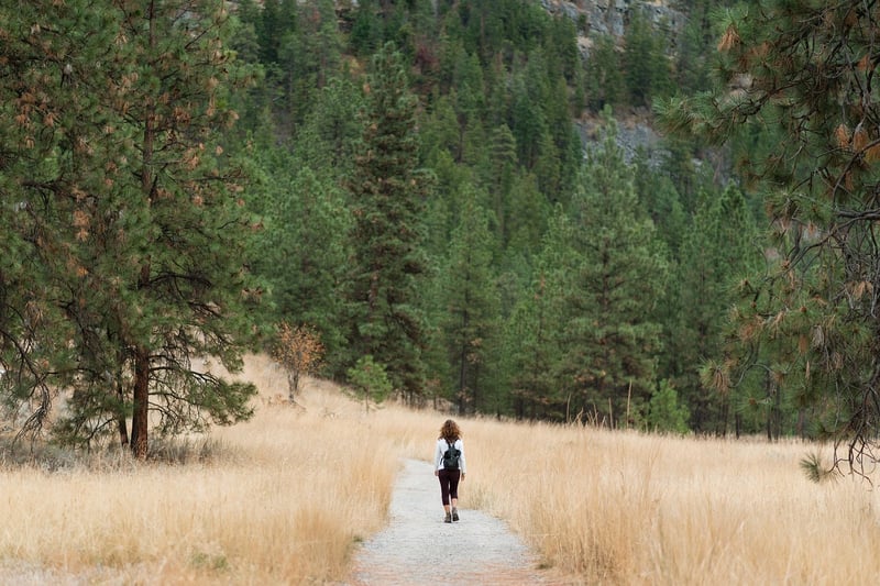 Woman hiking in nature